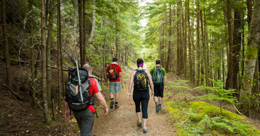 Randonnée pédestre